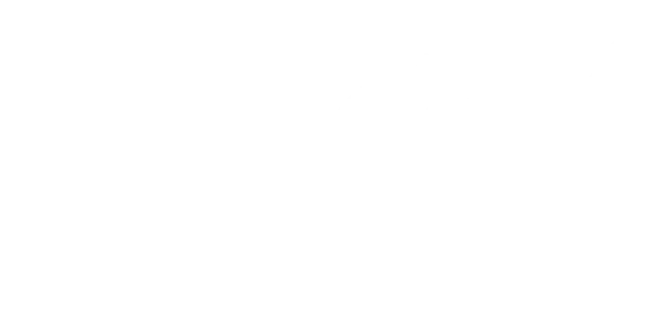 Welcome to my Leadership Development Hub - Discover SLAM- Strategic Leader Accelerator Mentoring, , an ecosystem where the art of empowering leadership meets the heart of personal transformation. Carmel Cayouf